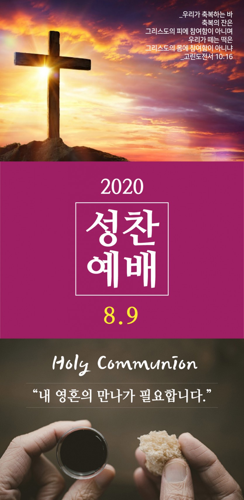20200809-7.jpg
