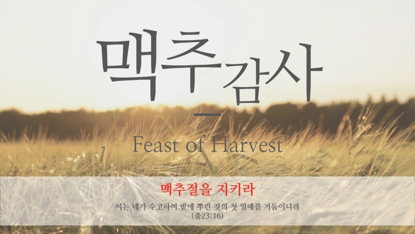 맥추감사.jpg