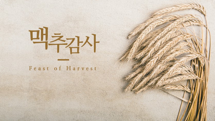 맥추감사1.jpg