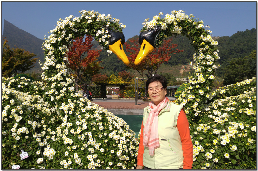 20161104_105548 복사.jpg