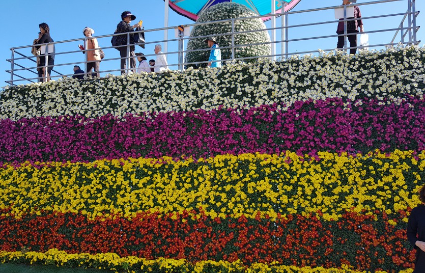 20191031_135014.jpg