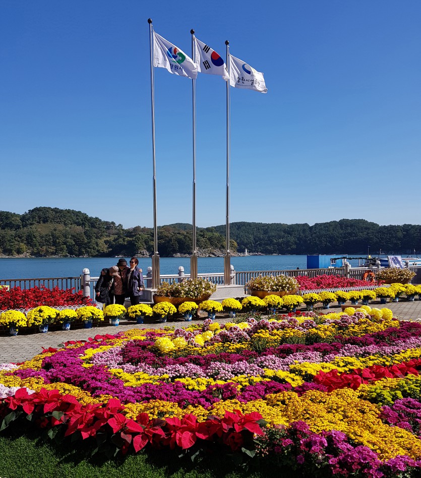 20191031_113808.jpg