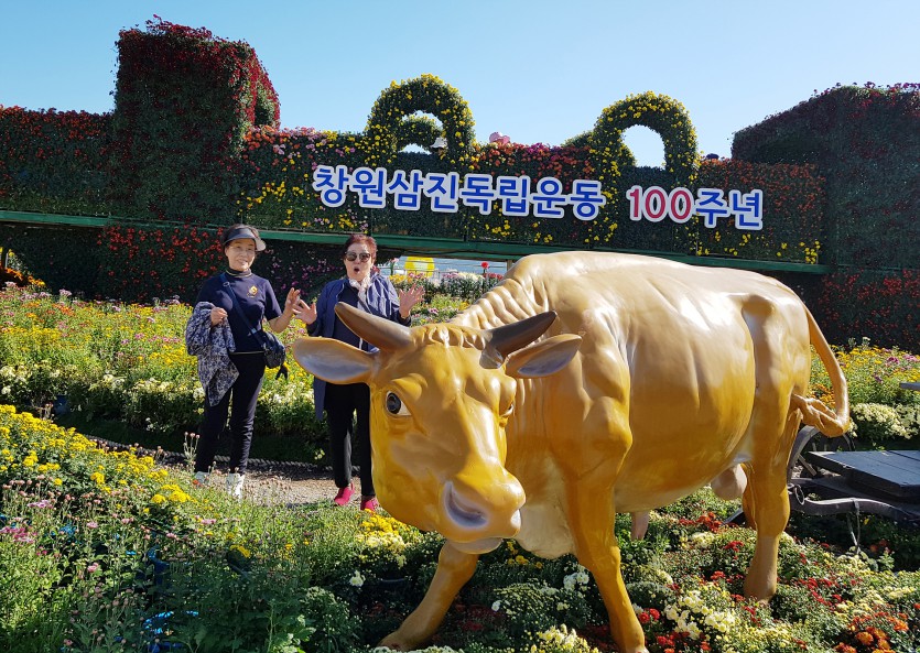 20191031_135331.jpg