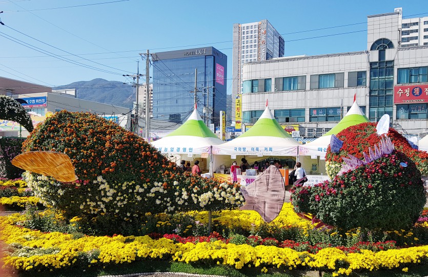20191031_134957.jpg