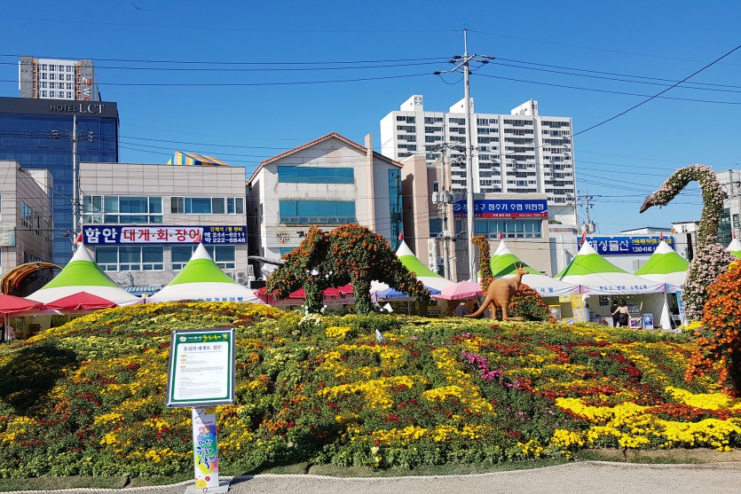 20191031_135637.jpg