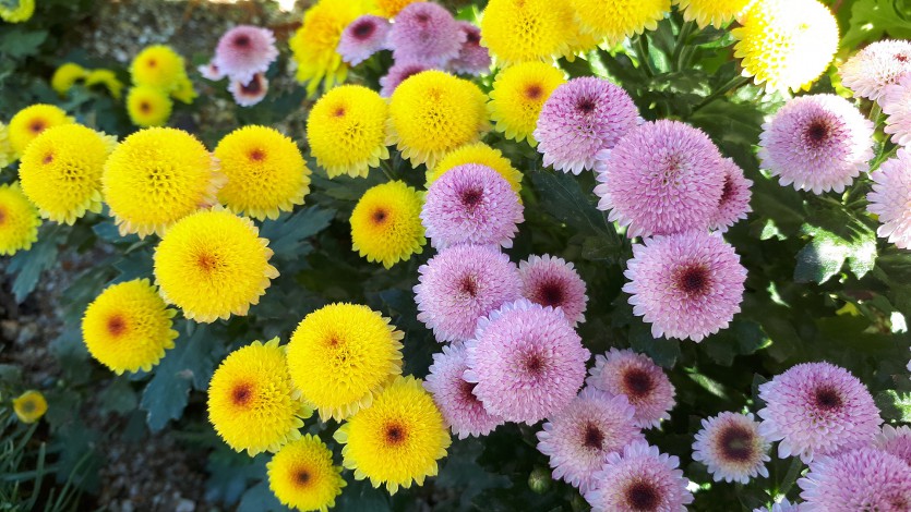 20191031_135137.jpg