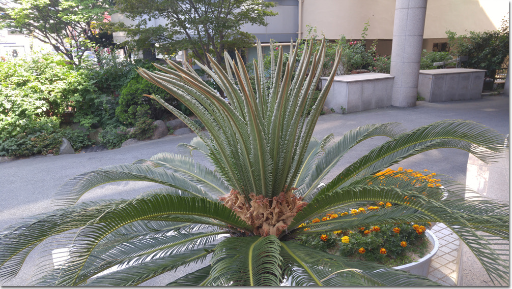 20170611_161823 (1).jpg