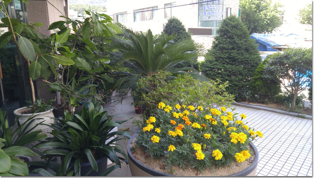 20170611_161823 (6).jpg