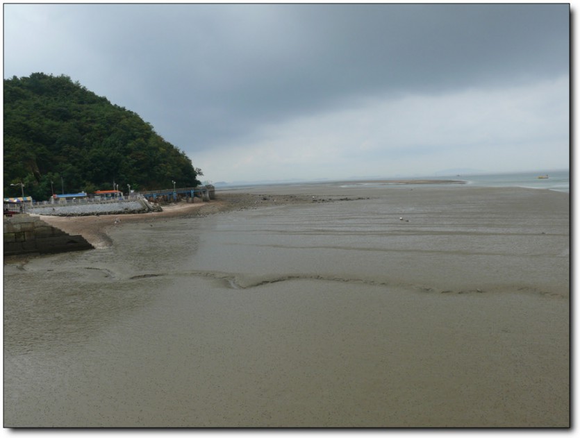 DSCF0328-2.jpg