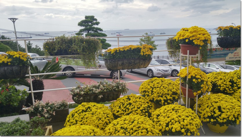 20171016_130659_HDR.jpg