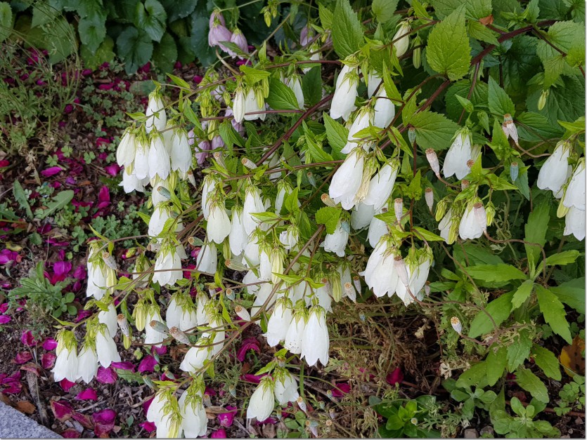 20190521_093216.jpg