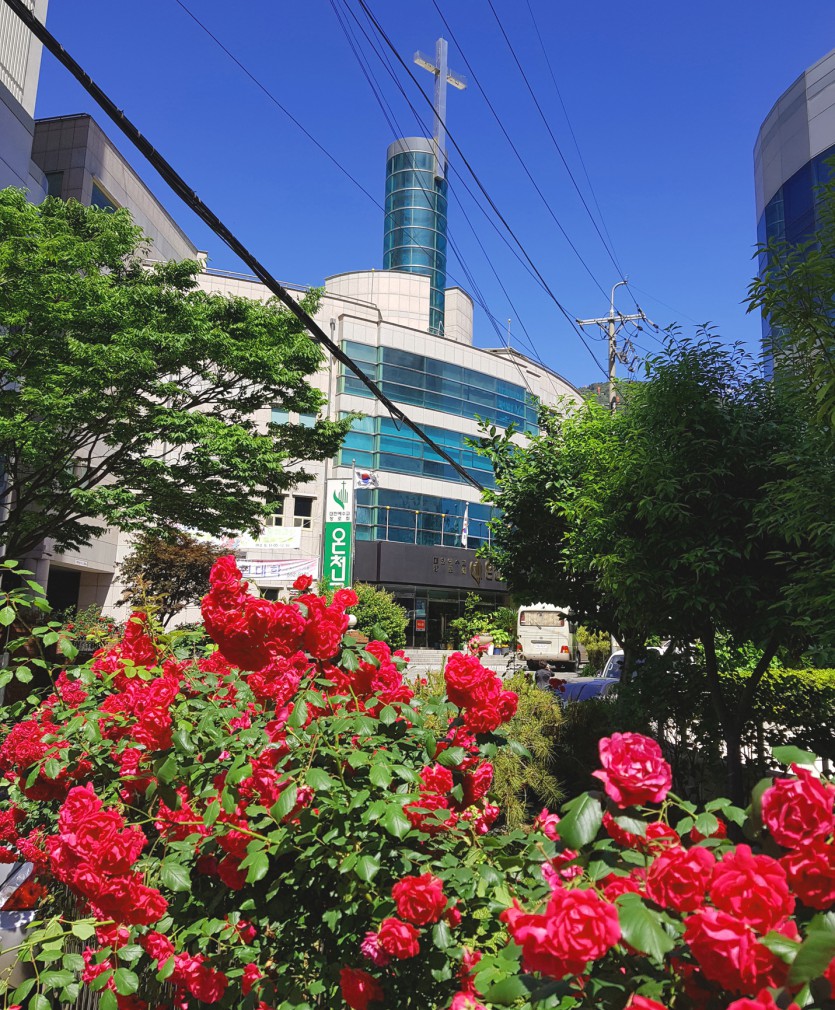 20190516_110611.jpg