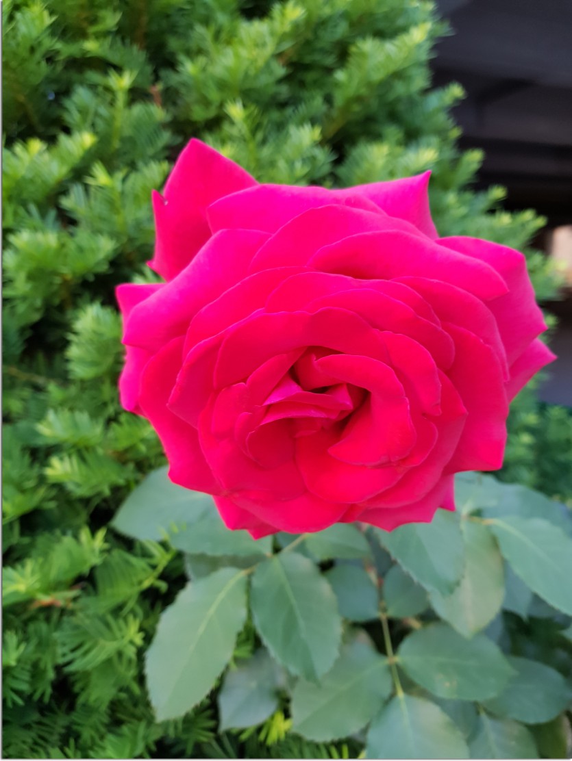 20190518_044125.jpg