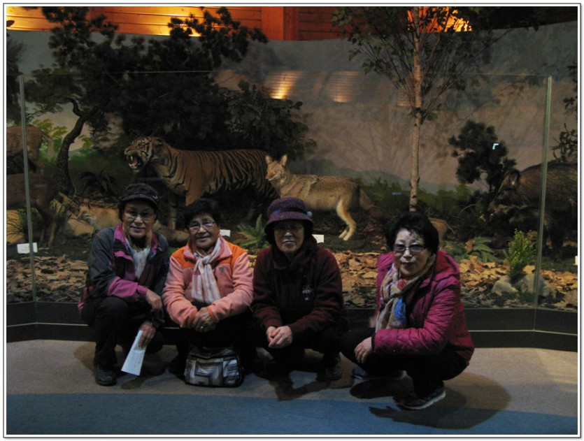 IMG_2943.jpg