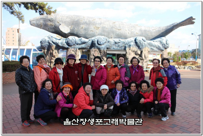 IMG_3010.jpg