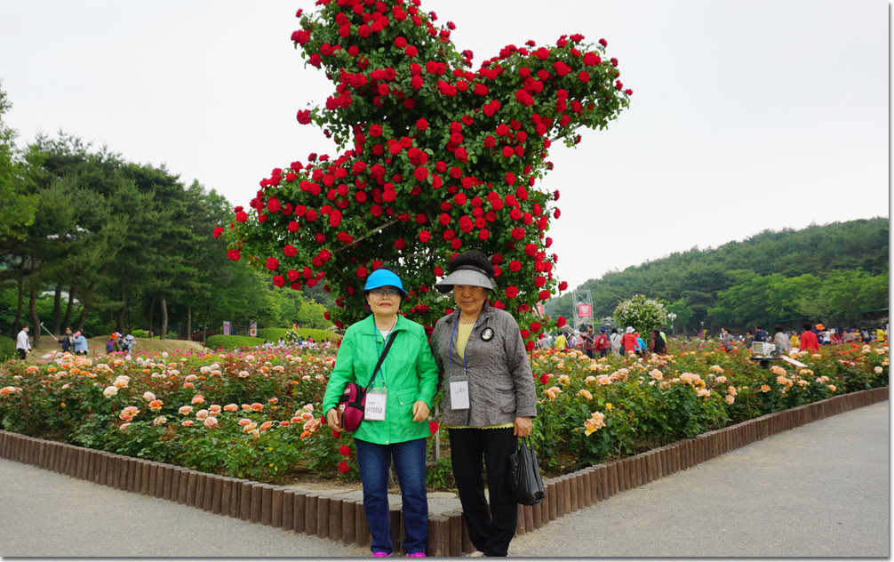 20170524_132622 (11).jpg