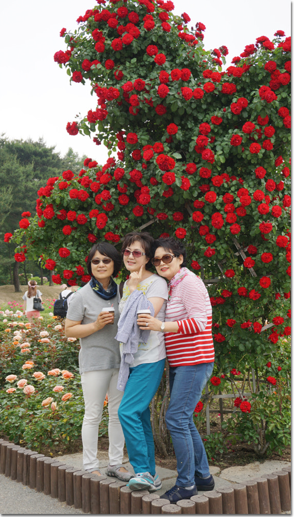 20170524_132623 (12).jpg