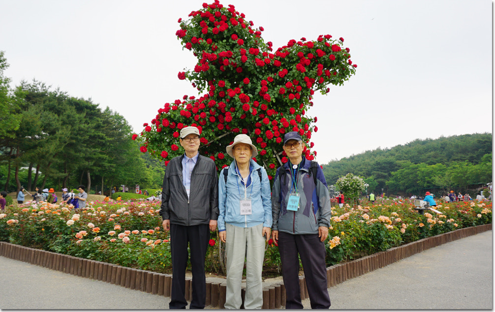 20170524_132622 (13).jpg