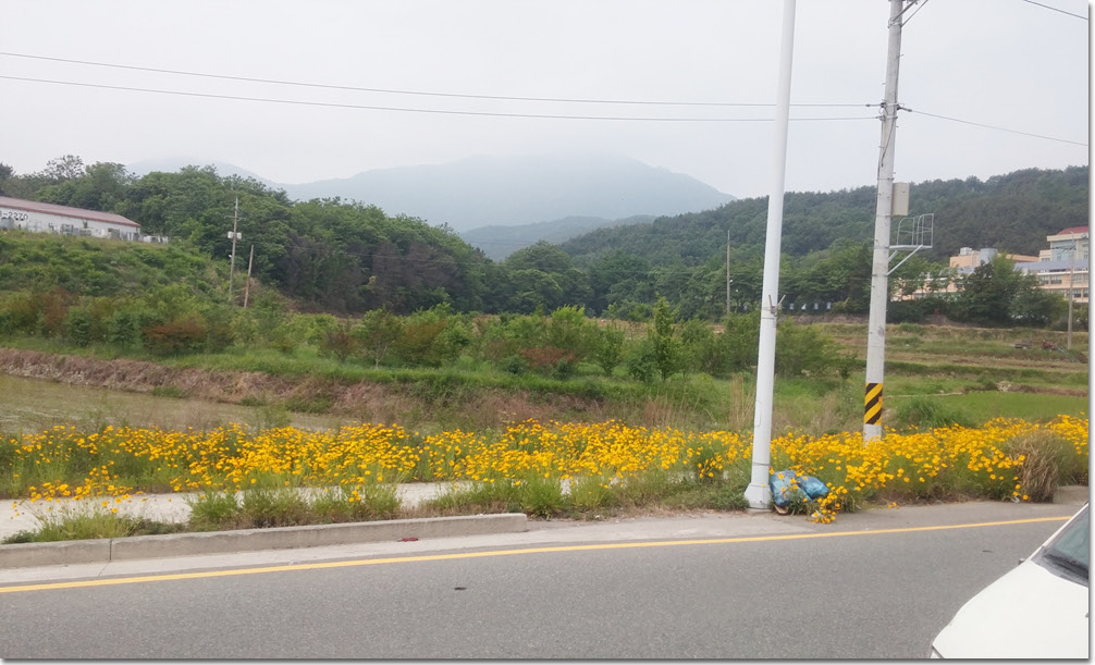 20170524_112045 (12.).jpg