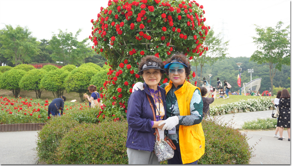 20170524_132623 (5).jpg