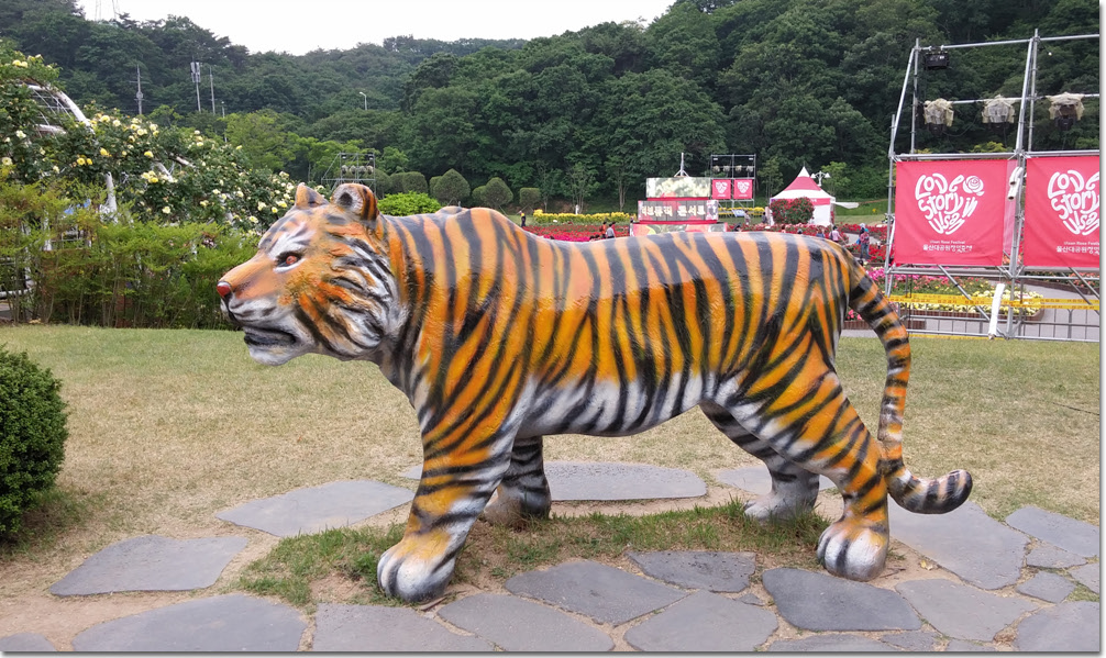 20170524_133305 (12).jpg