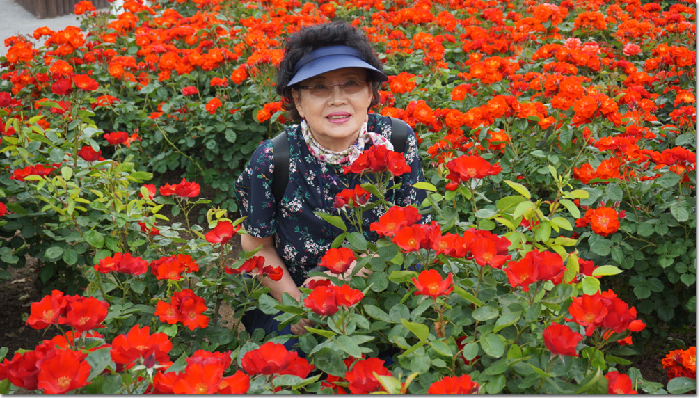 20170524_132623 (2).jpg