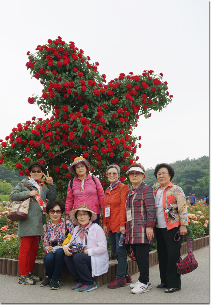 20170524_132622 (1).jpg