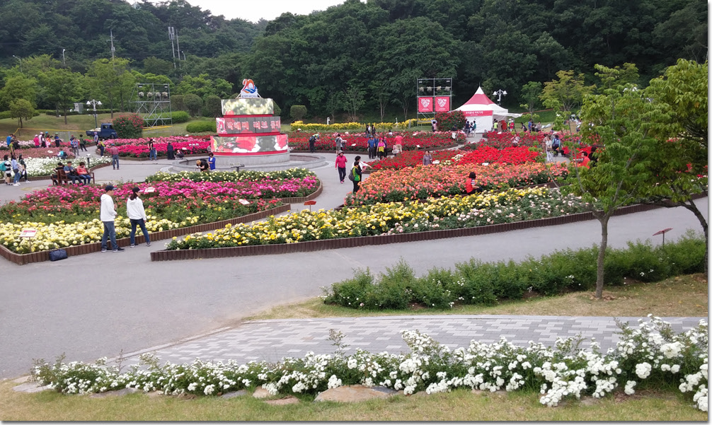 20170524_133305 (4).jpg