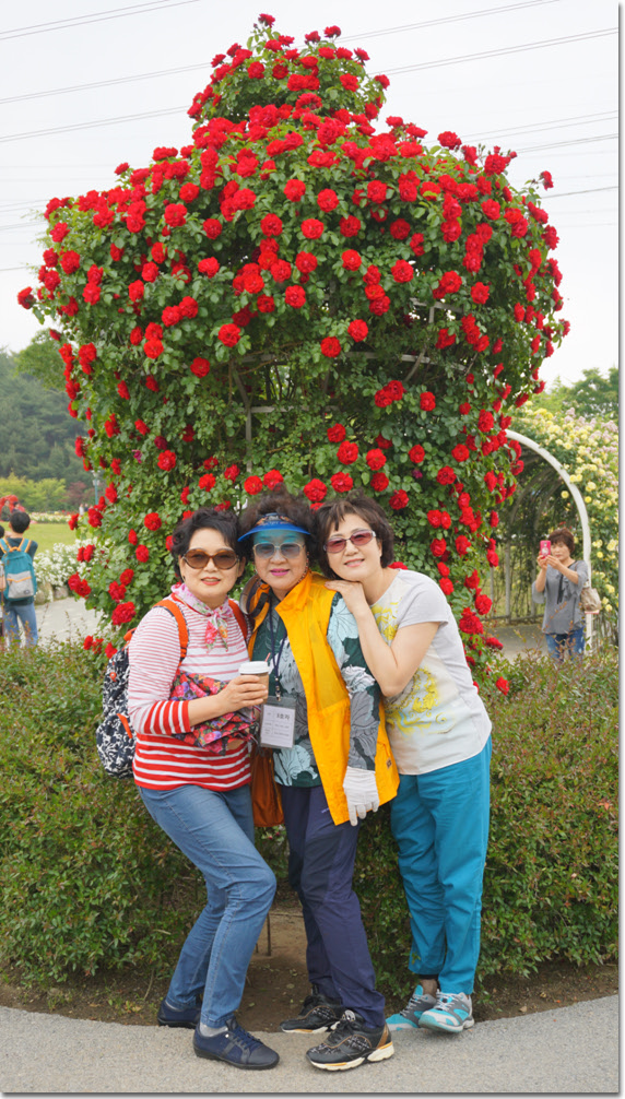 20170524_132623 (7).jpg