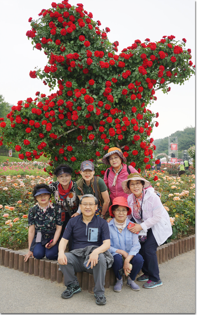 20170524_132622 (5).jpg