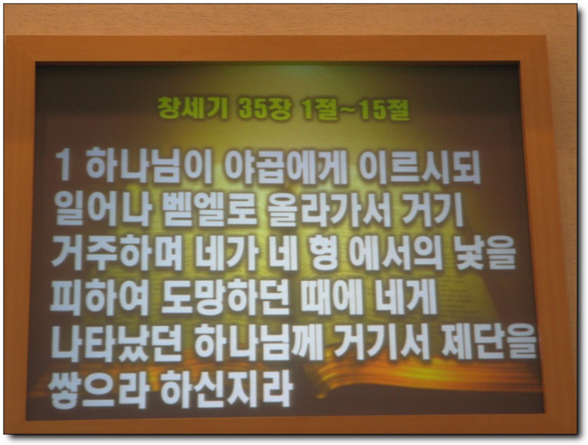 IMG_6168.jpg