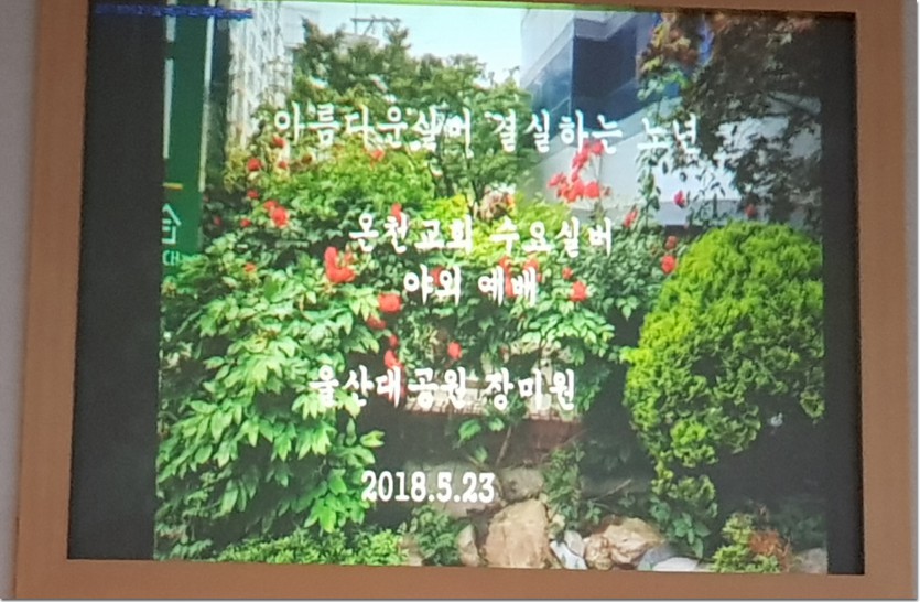 20180530_112745.jpg