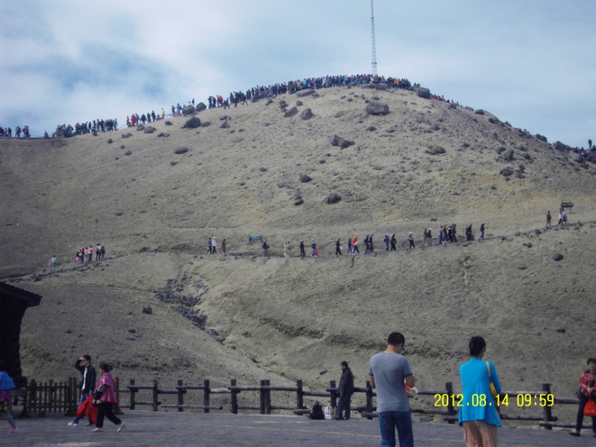 SDC12309.JPG