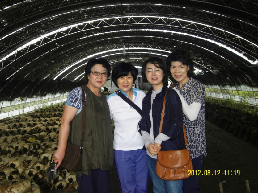 SDC12139.JPG