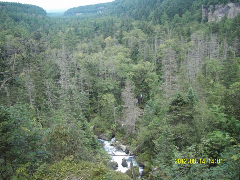 SDC12390.JPG