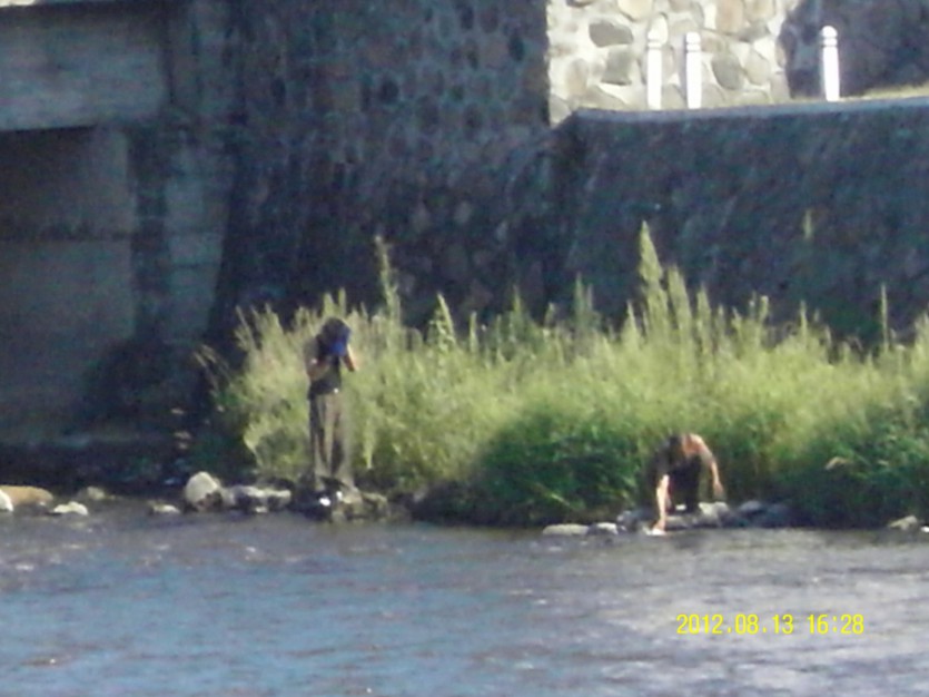 SDC12292.JPG