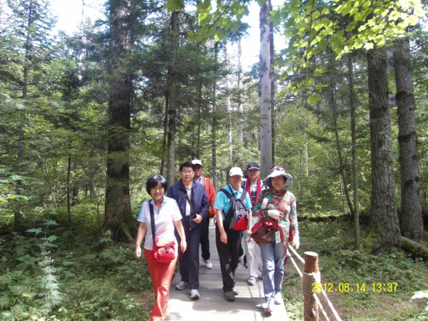 SDC12381.JPG