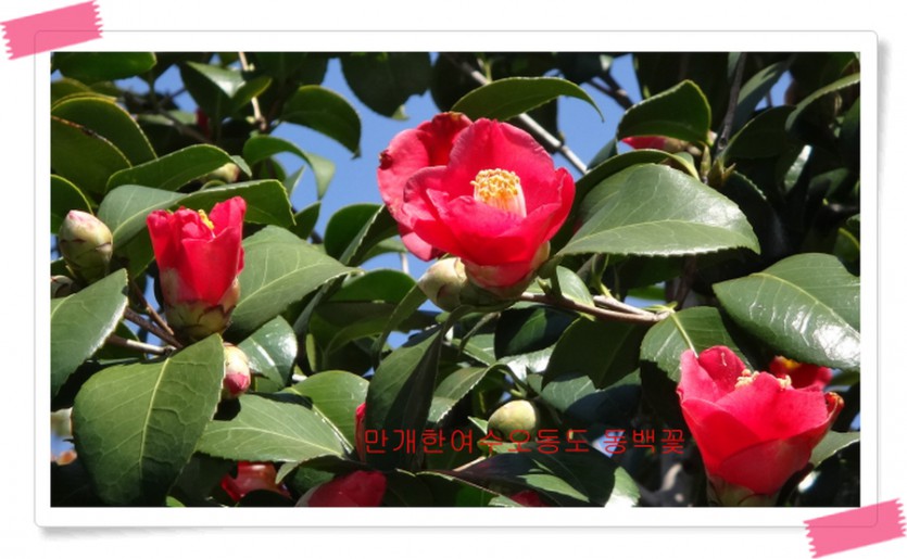 DSC02900.jpg