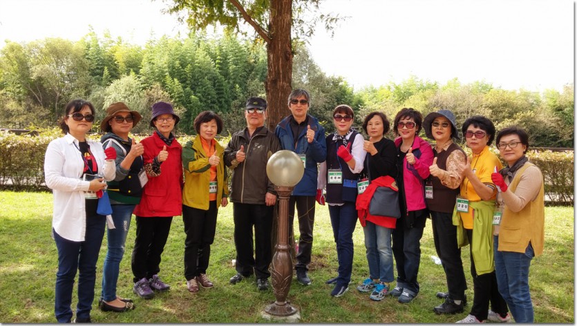 20171019_125039_HDR.jpg