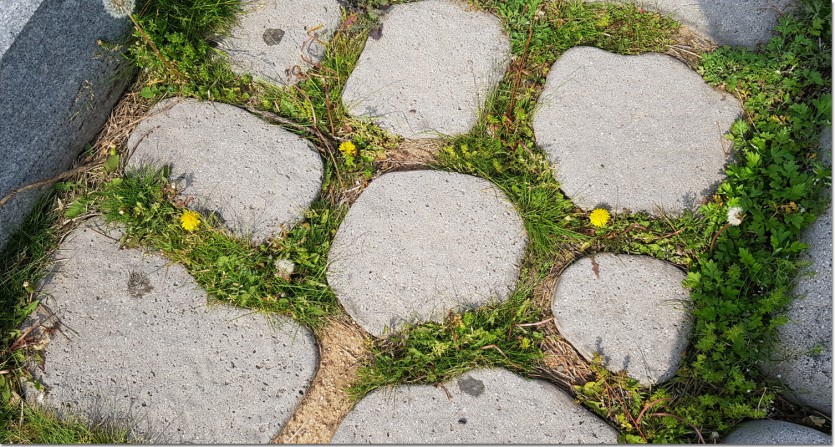 20180501_092440.jpg