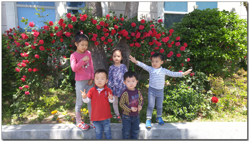 17- 20160512_125512.jpg