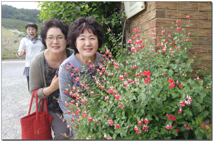 6- 20160515_153222.jpg