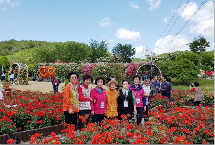 20180523_132045.jpg