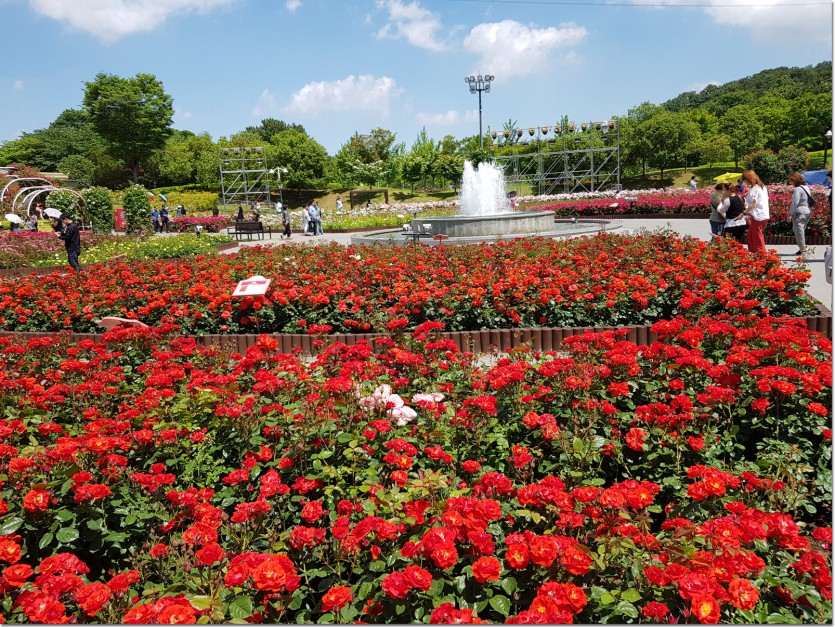 20180523_134857.jpg