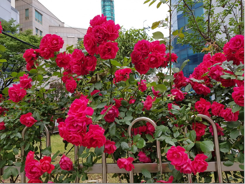 20180520_105805.jpg
