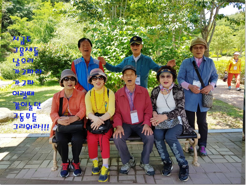 20180523_125556 복사-1.jpg