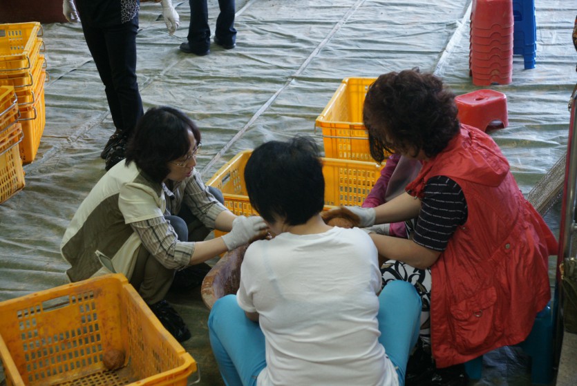 DSC01313.JPG