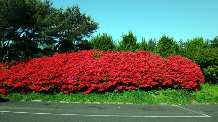DSC02300.jpg