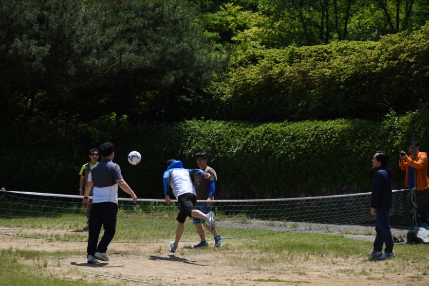 DSC_0690.jpg