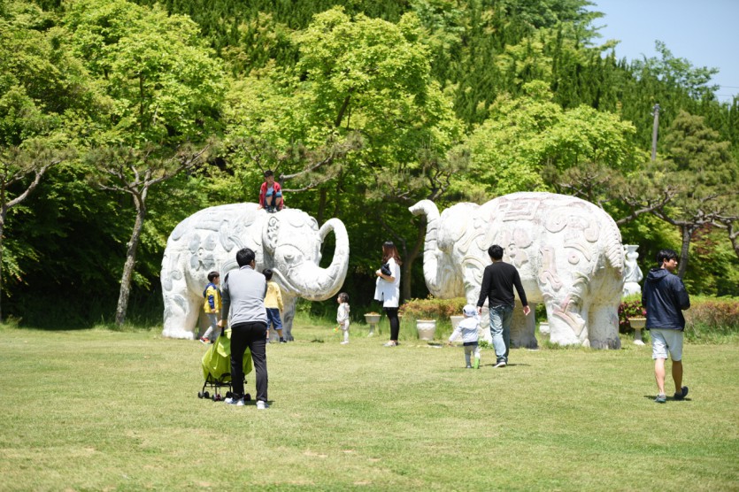 DSC_0609.jpg